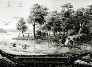 Nueva Holanda: Nueva Gales del Sur de Charles Alexandre Lesueur
